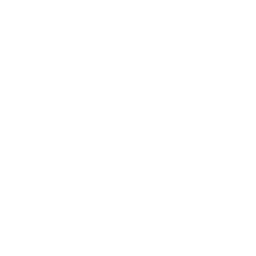 Yoga & Meditation